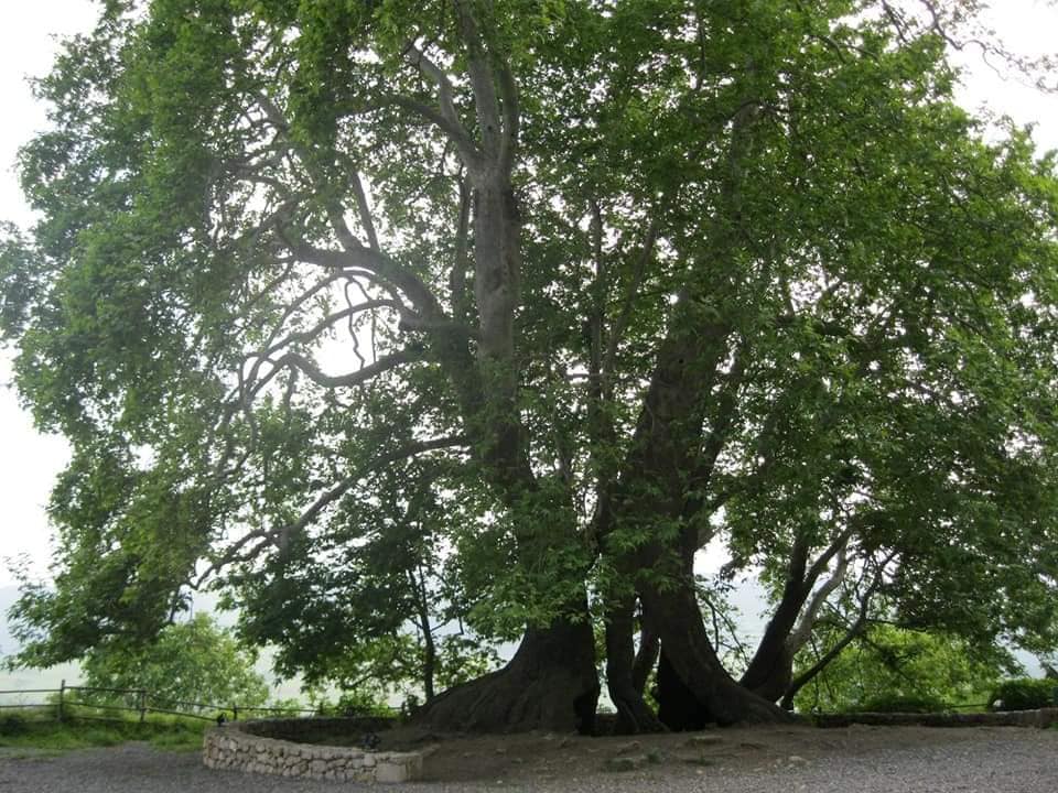«ՀԻՆ  ՕՐՀՆՈՒԹՅՈՒՆ»