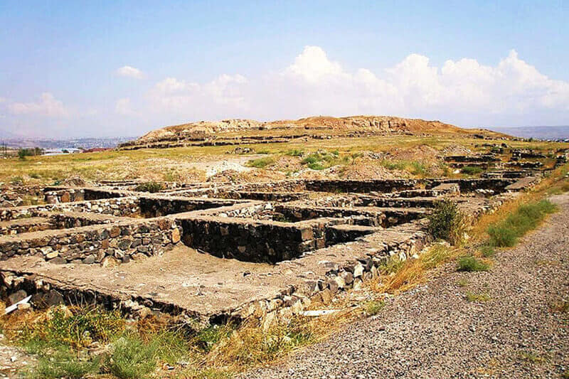 «ԱՐԳԻՇՏԻ ՈՐԴԻ՝  ՌՈՒՍԱՅԻ  ԶԻՆԱՆՈՑԸ՝  «ԹԵՇԵԲԱ»  ԱՆՎԱՄԲ»